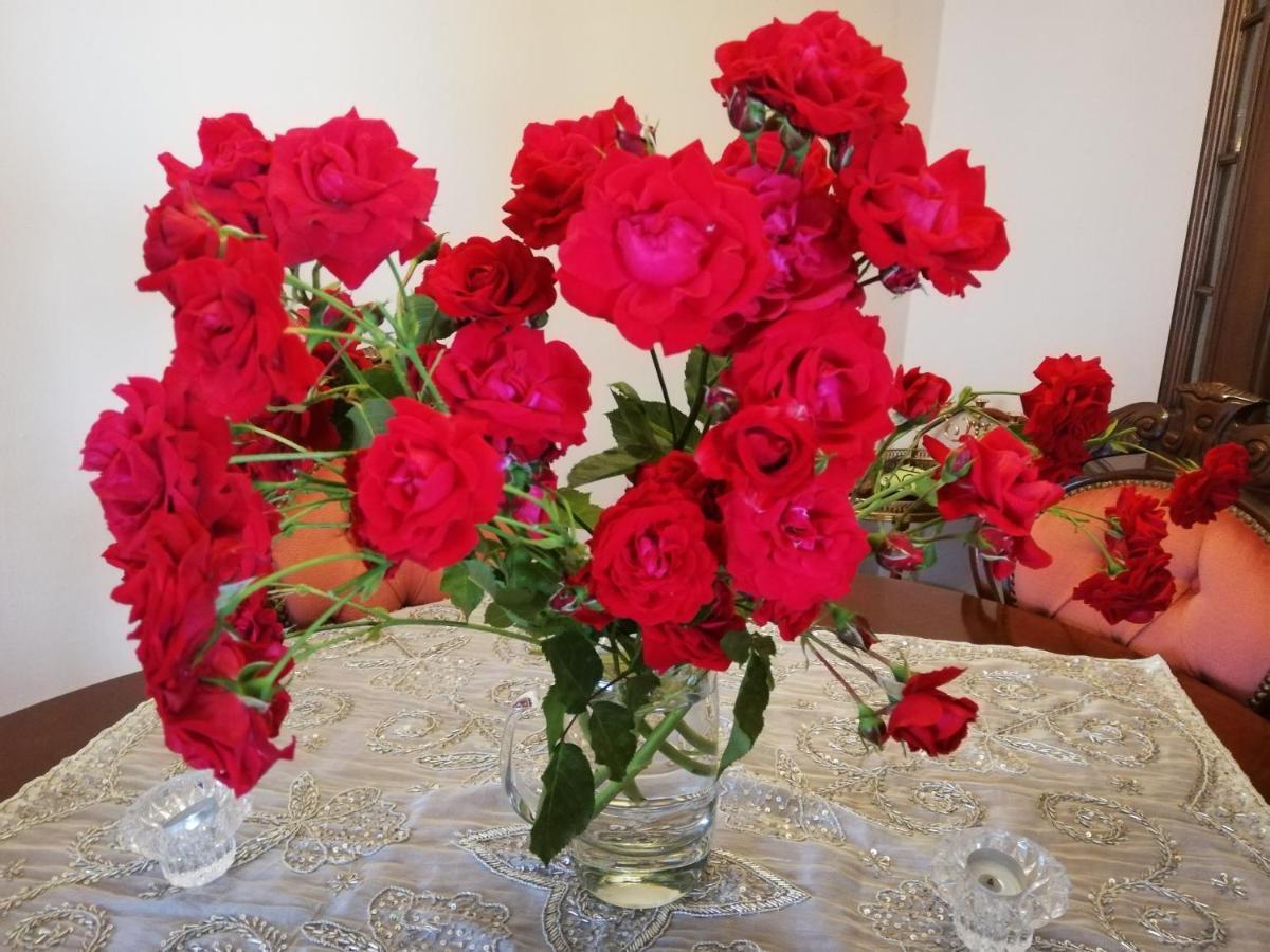 茨魏布肯Rosen Und Rosse公寓 外观 照片